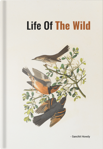 Catalogo Ikon Editrice